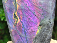 Polished Rare Purple Sunset Flash Labradorite Standing Free Form x 1 From Tulear, Madagascar