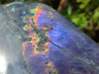 Polished Rare Purple Sunset Flash Labradorite Standing Free Form x 1 From Tulear, Madagascar