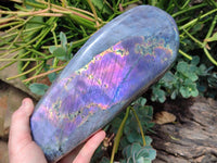 Polished Rare Purple Sunset Flash Labradorite Standing Free Form x 1 From Tulear, Madagascar