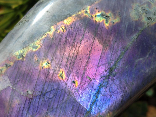 Polished Rare Purple Sunset Flash Labradorite Standing Free Form x 1 From Tulear, Madagascar