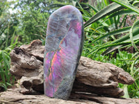 Polished Rare Purple Sunset Flash Labradorite Standing Free Form x 1 From Tulear, Madagascar