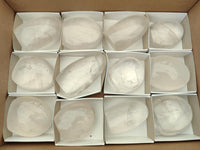 Polished Pearl Girasol Quartz Standing Free Forms x 12 From Ambatondrazaka, Madagascar