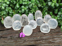 Polished Pearl Girasol Quartz Standing Free Forms x 12 From Ambatondrazaka, Madagascar