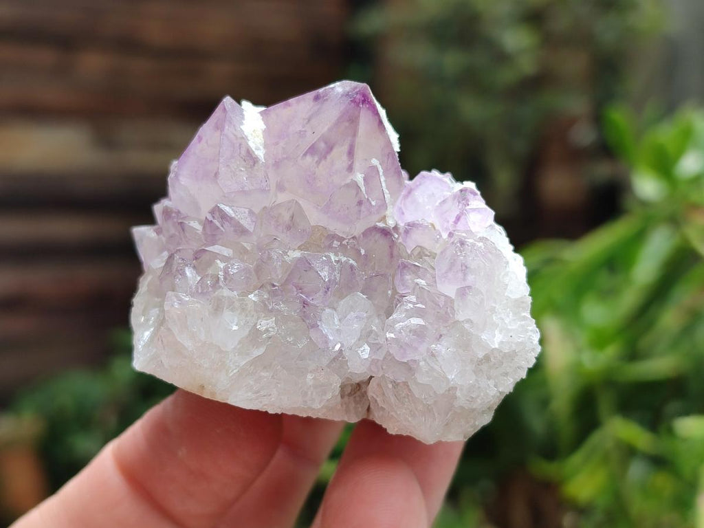Natural Sunburst Amethyst Spirit Clusters x 12 From Boekenhouthoek, South Africa