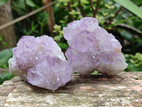 Natural Sunburst Amethyst Spirit Clusters x 12 From Boekenhouthoek, South Africa