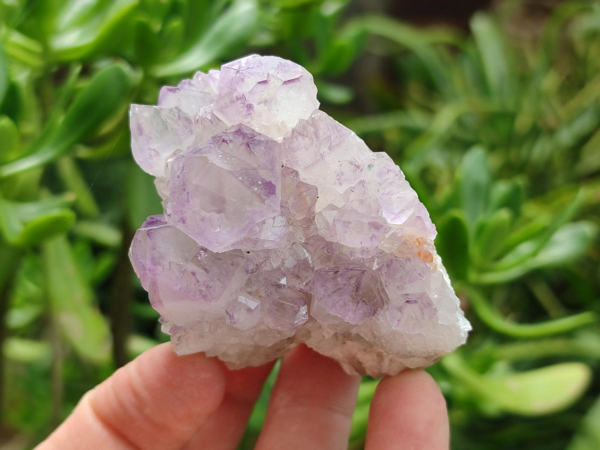 Natural Sunburst Amethyst Spirit Clusters x 12 From Boekenhouthoek, South Africa