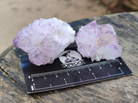 Natural Sunburst Amethyst Spirit Clusters x 12 From Boekenhouthoek, South Africa