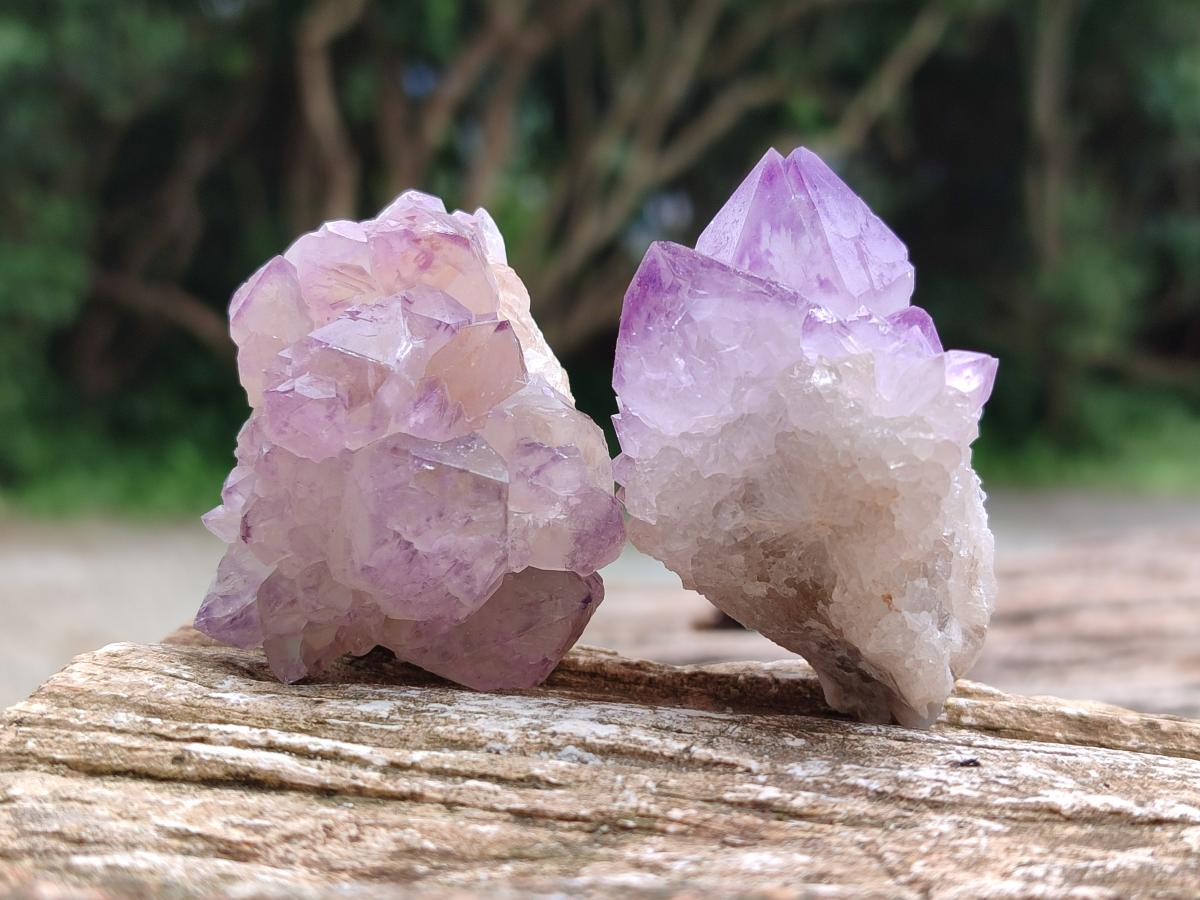 Natural Sunburst Amethyst Spirit Clusters x 12 From Boekenhouthoek, South Africa