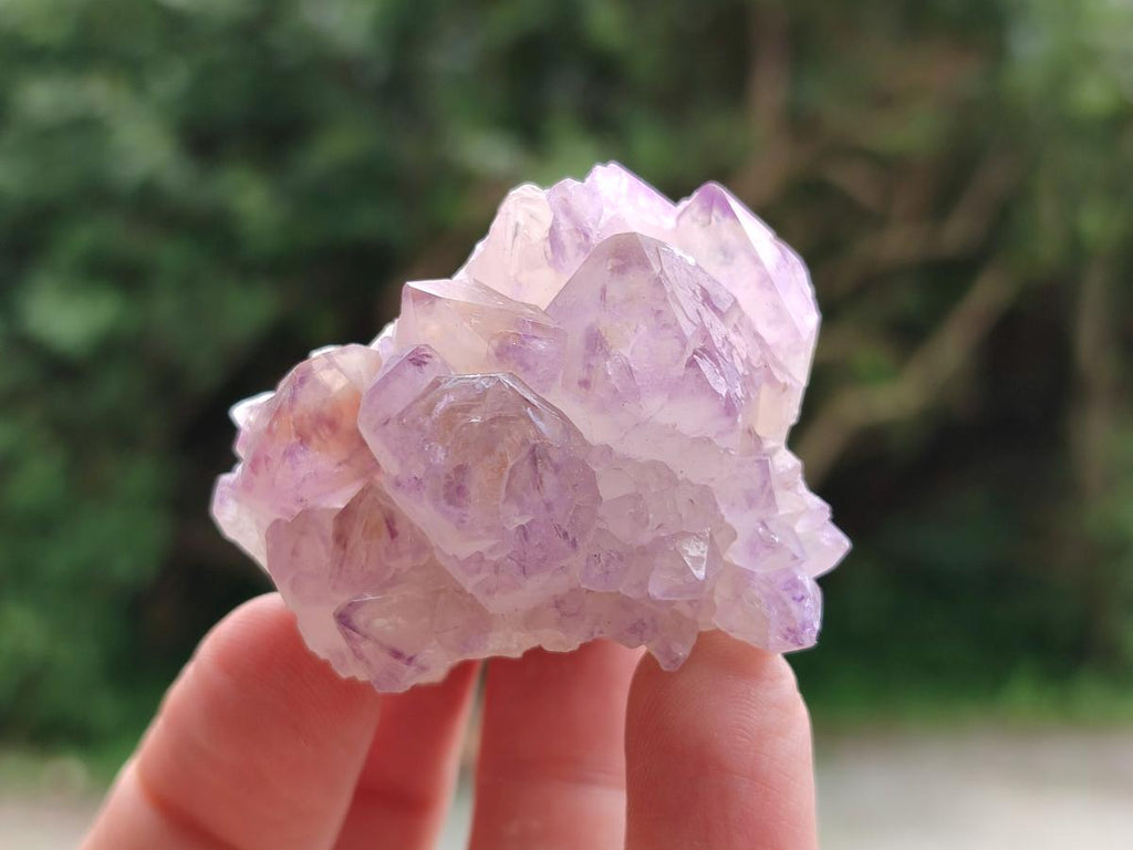 Natural Sunburst Amethyst Spirit Clusters x 12 From Boekenhouthoek, South Africa