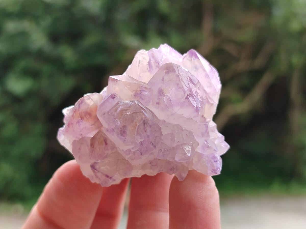 Natural Sunburst Amethyst Spirit Clusters x 12 From Boekenhouthoek, South Africa
