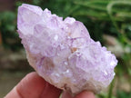 Natural Sunburst Amethyst Spirit Clusters x 12 From Boekenhouthoek, South Africa