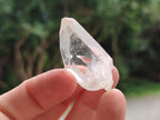 Natural Frosty Single Clear Quartz Crystals x 70 From Madagascar