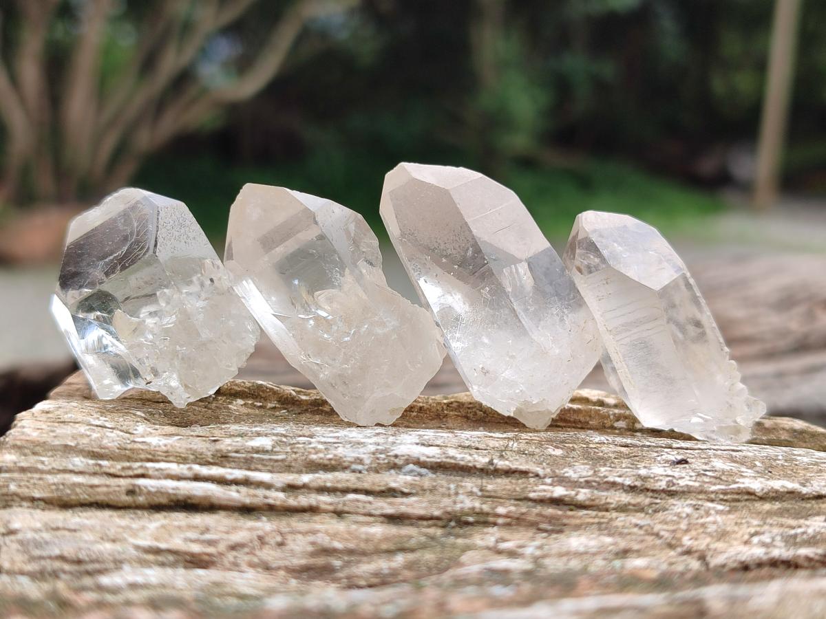 Natural Frosty Single Clear Quartz Crystals x 70 From Madagascar