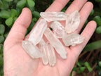 Natural Frosty Single Clear Quartz Crystals x 70 From Madagascar