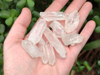 Natural Frosty Single Clear Quartz Crystals x 70 From Madagascar