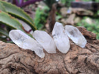Natural Frosty Single Clear Quartz Crystals x 70 From Madagascar