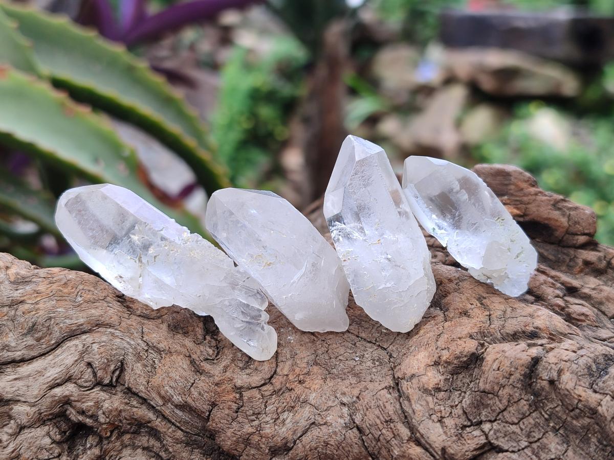Natural Frosty Single Clear Quartz Crystals x 70 From Madagascar