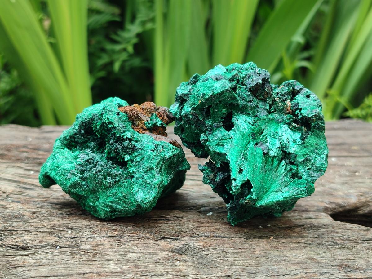 Natural Silky Malachite Specimens x 6 From Kasompe, Congo