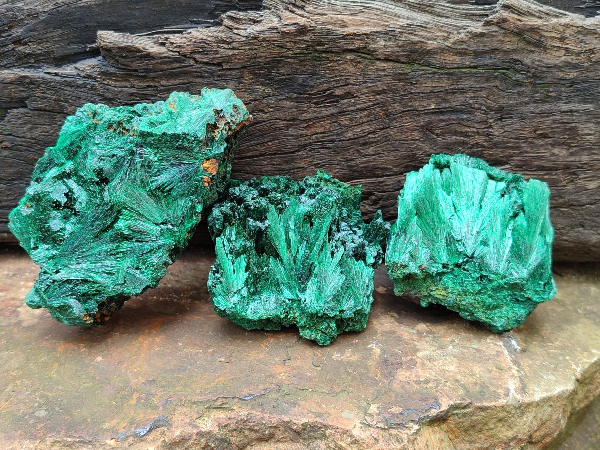 Natural Silky Malachite Specimens x 6 From Kasompe, Congo