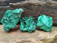 Natural Silky Malachite Specimens x 6 From Kasompe, Congo