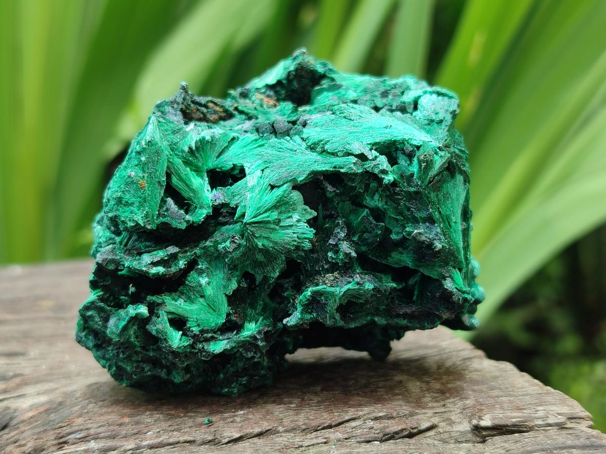 Natural Silky Malachite Specimens x 6 From Kasompe, Congo