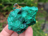 Natural Silky Malachite Specimens x 6 From Kasompe, Congo