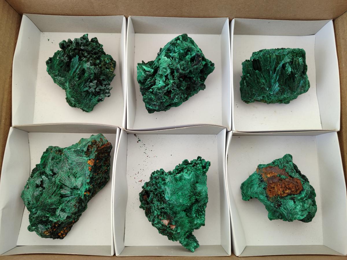 Natural Silky Malachite Specimens x 6 From Kasompe, Congo