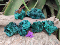 Natural Silky Malachite Specimens x 6 From Kasompe, Congo