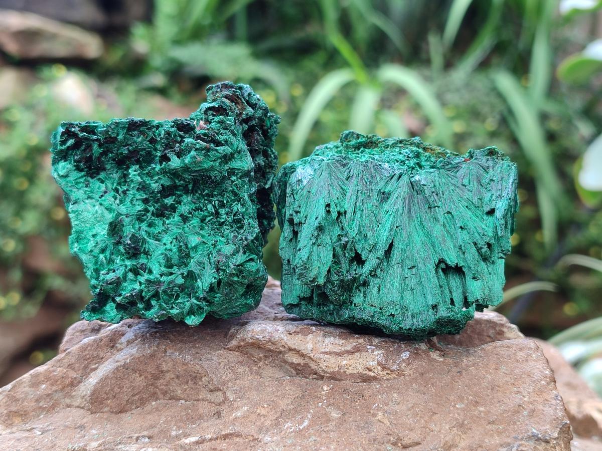 Natural Silky Malachite Specimens x 6 From Kasompe, Congo