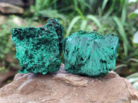 Natural Silky Malachite Specimens x 6 From Kasompe, Congo