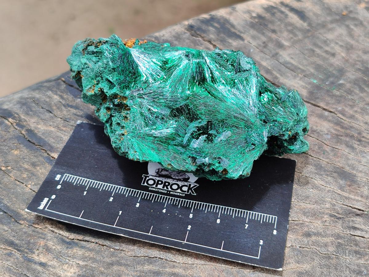 Natural Silky Malachite Specimens x 6 From Kasompe, Congo