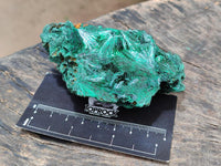 Natural Silky Malachite Specimens x 6 From Kasompe, Congo