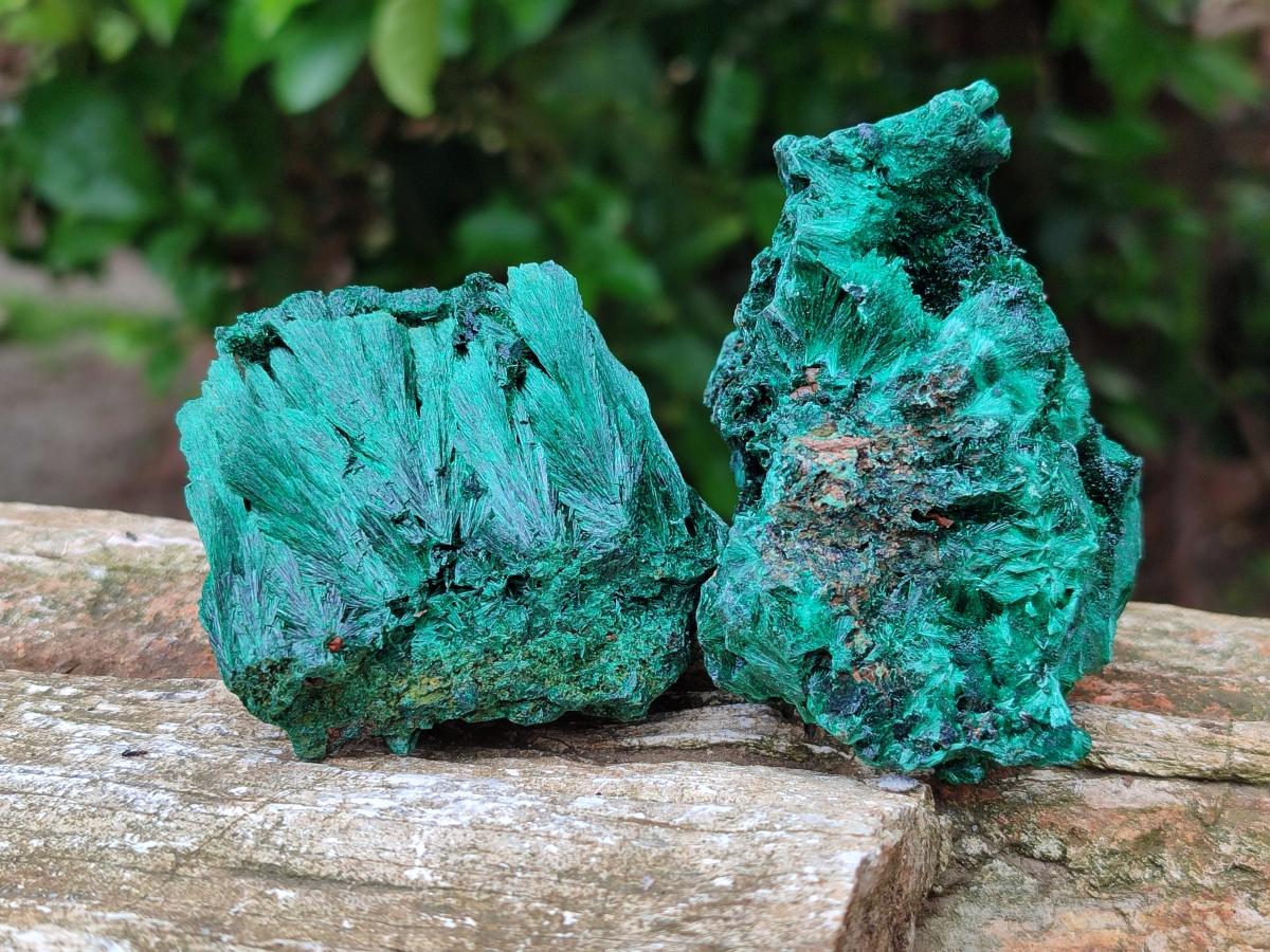 Natural Silky Malachite Specimens x 6 From Kasompe, Congo