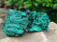 Natural Silky Malachite Specimens x 6 From Kasompe, Congo