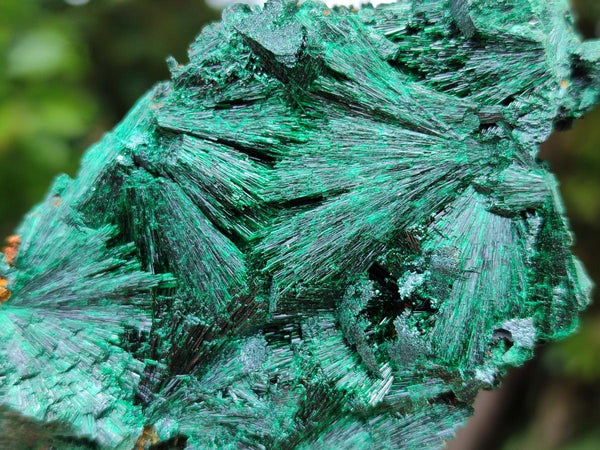 Natural Silky Malachite Specimens x 6 From Kasompe, Congo
