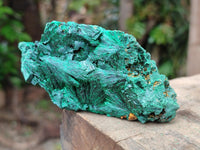 Natural Silky Malachite Specimens x 6 From Kasompe, Congo