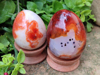 Polished Carnelian Agate Gemstone Eggs x 5 From Madagascar