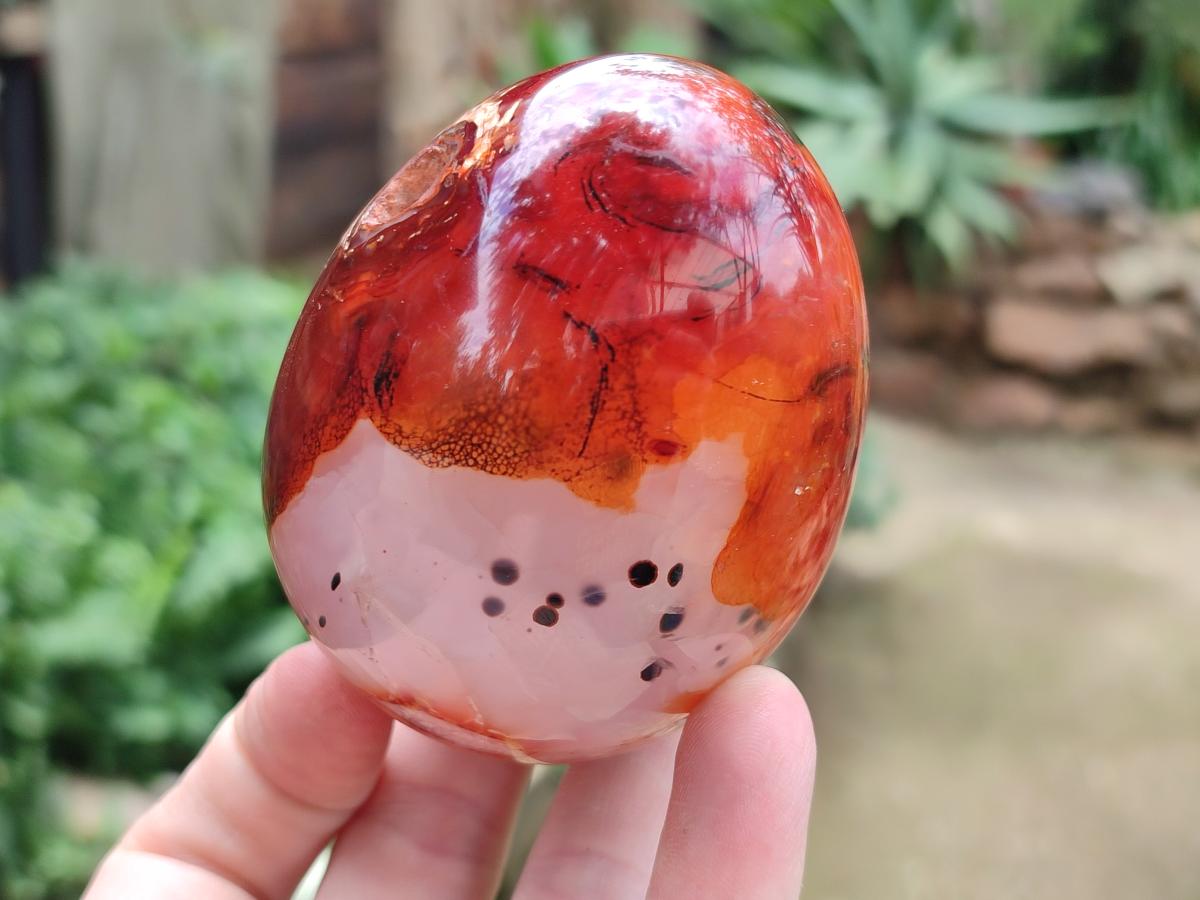 Polished Carnelian Agate Gemstone Eggs x 5 From Madagascar