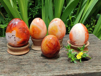 Polished Carnelian Agate Gemstone Eggs x 5 From Madagascar