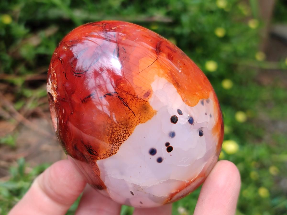 Polished Carnelian Agate Gemstone Eggs x 5 From Madagascar