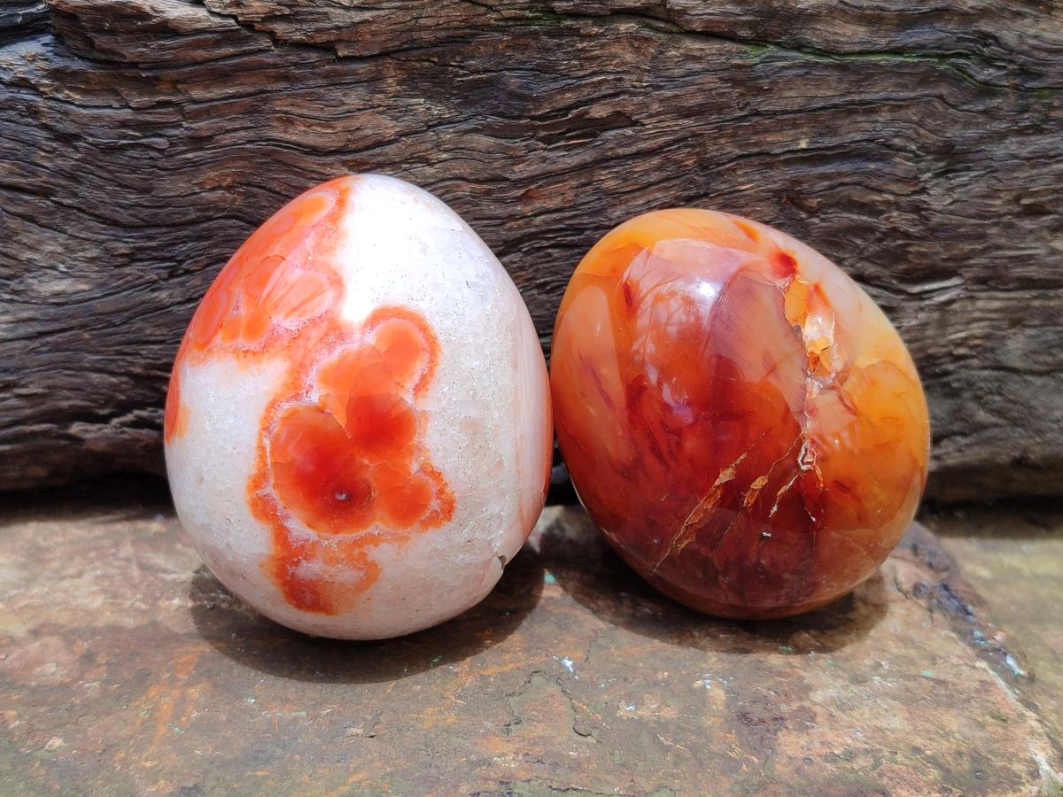 Polished Carnelian Agate Gemstone Eggs x 5 From Madagascar