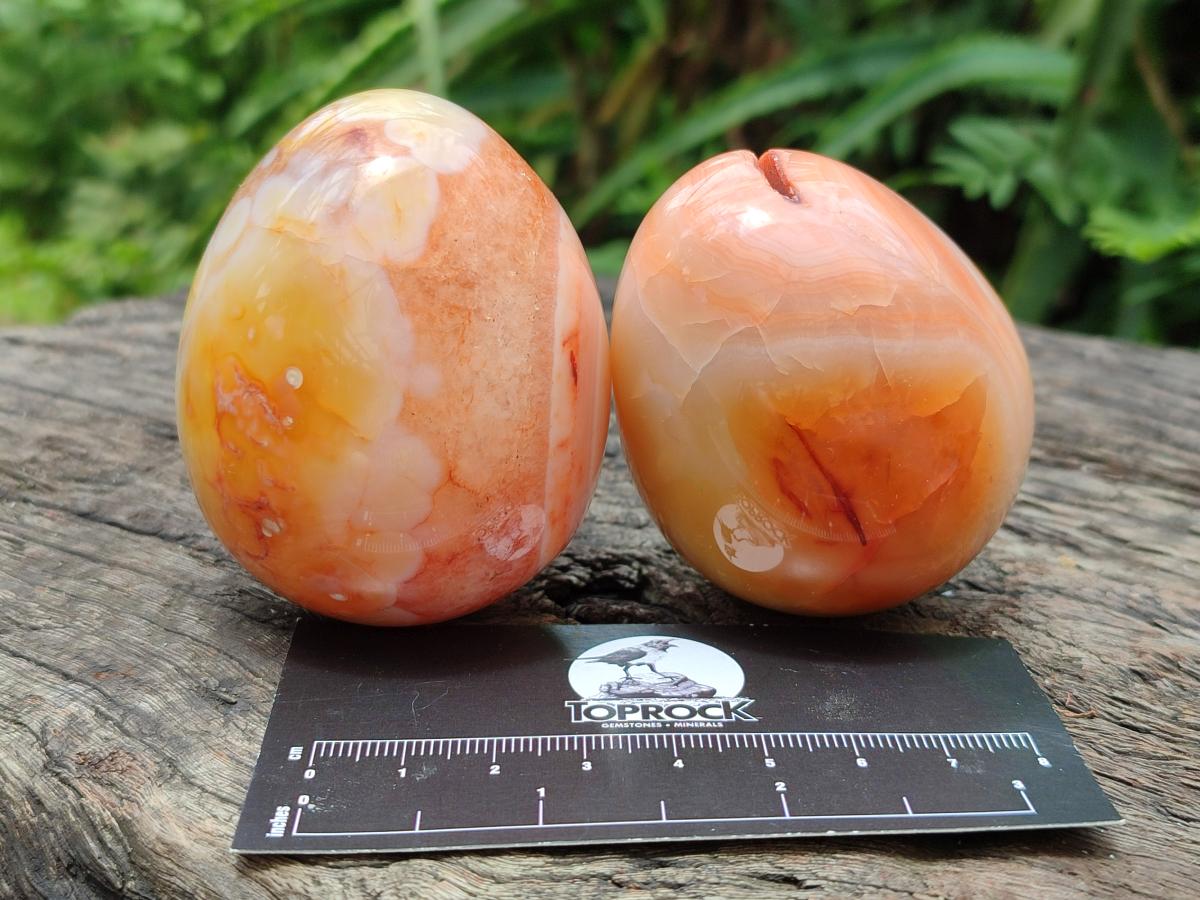 Polished Carnelian Agate Gemstone Eggs x 5 From Madagascar