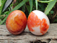 Polished Carnelian Agate Gemstone Eggs x 5 From Madagascar