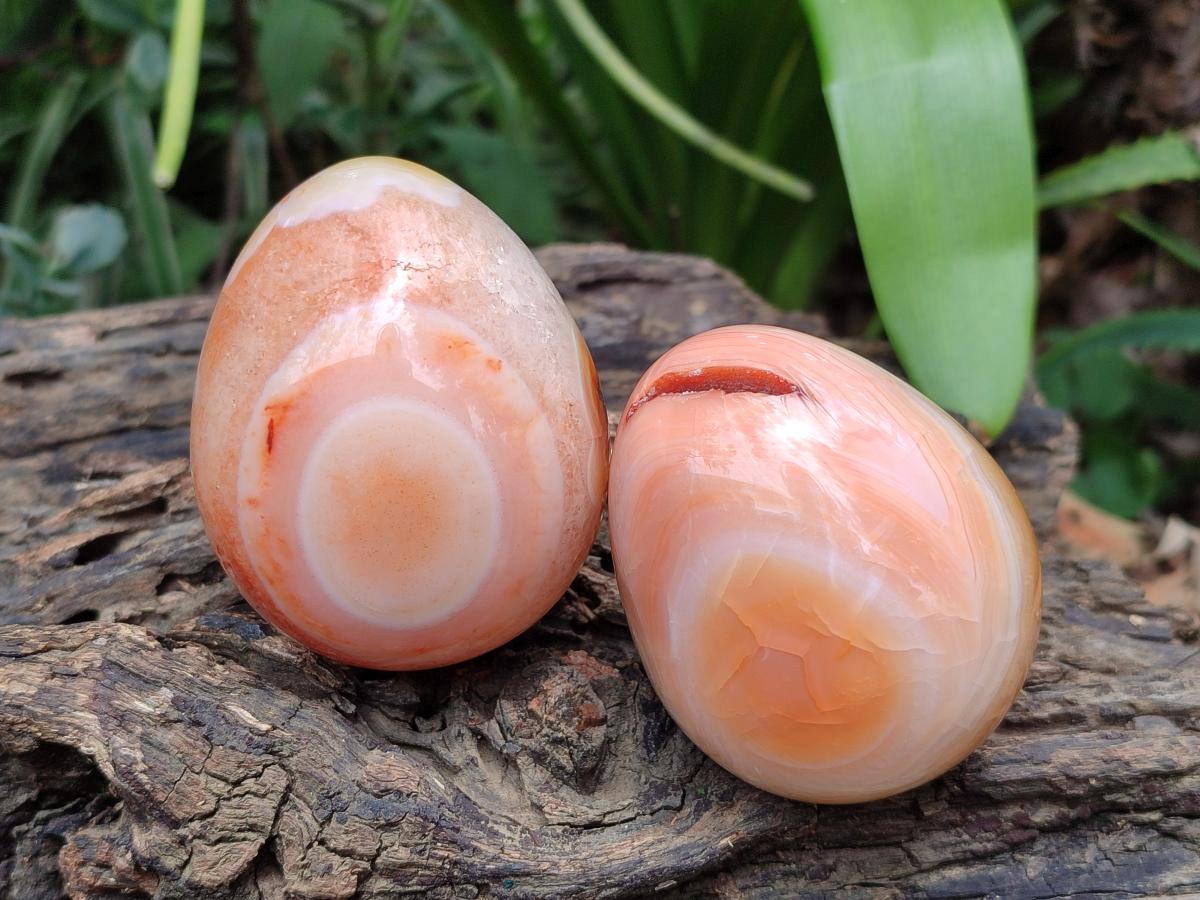 Polished Carnelian Agate Gemstone Eggs x 5 From Madagascar