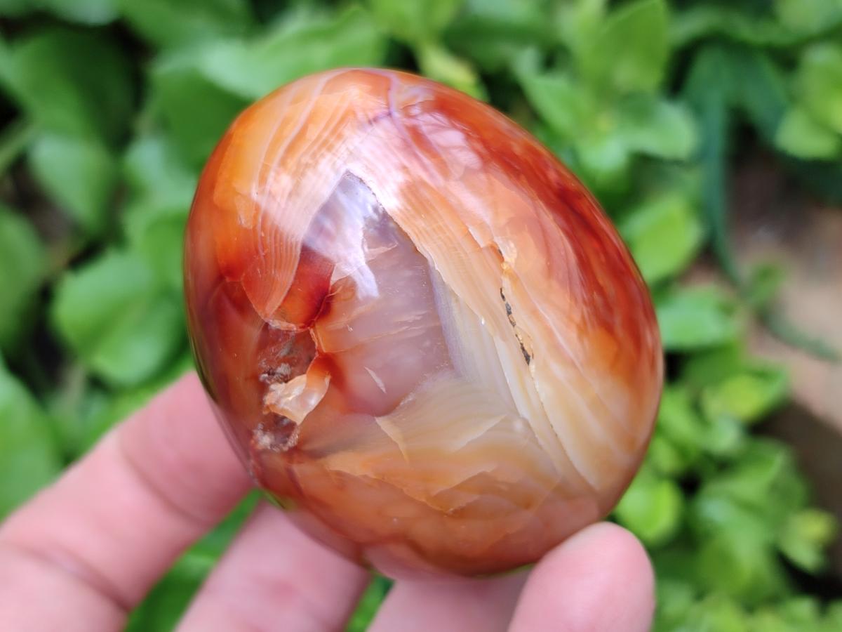 Polished Carnelian Agate Gemstone Eggs x 5 From Madagascar