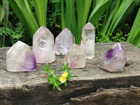 Polished Window Amethyst Crystals x 6 From Akansobe, Madagascar