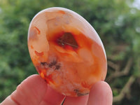 Polished Flower Agate Palm Stones x 12 From Antsahalova, Madagascar