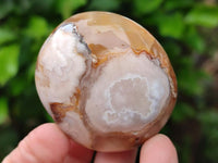 Polished Flower Agate Palm Stones x 12 From Antsahalova, Madagascar