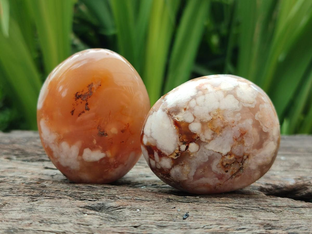Polished Flower Agate Palm Stones x 12 From Antsahalova, Madagascar