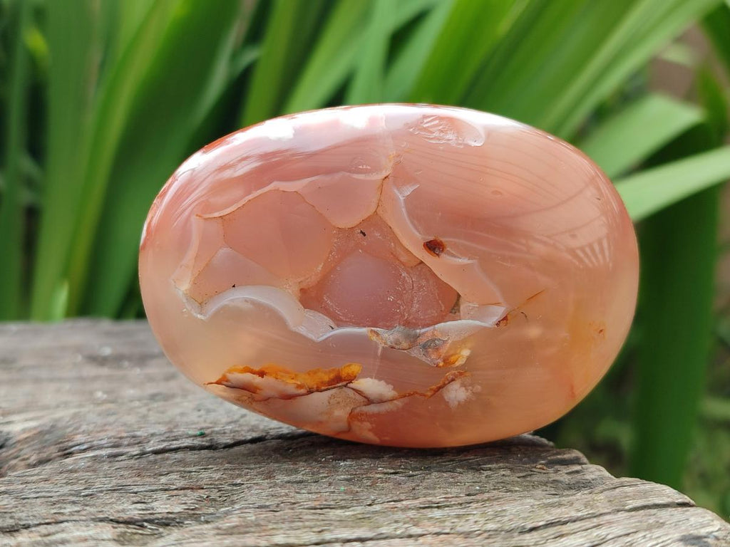 Polished Flower Agate Palm Stones x 12 From Antsahalova, Madagascar